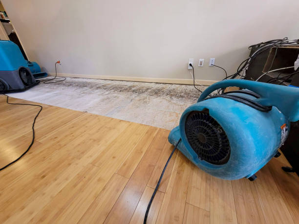 Professional Water Removal technician working in Twentynine Palms, CA